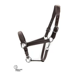 EquineTree Halfter Mela Anatomical - braun/silber Grösse: Full