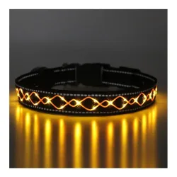 Animal Light Leucht-Hundehalsband 