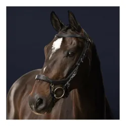 PresTeq Zaum FaySport - schwarz Farbe: Schwarz, Grösse Zaum: Pony