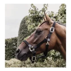 Kentucky Stallhalfter Plaited Nylon - schwarz Farbe: Schwarz, Grösse Halfter: Cob