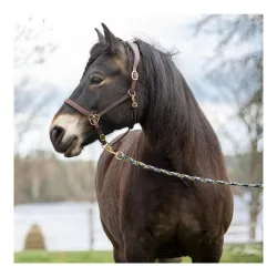Soulhorse Elegantes Lederhalfter aus Fettleder - Braun/Gold -  Grösse Halfter: Extra Full, Farbe: Braun/Gold