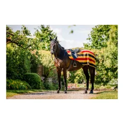 Horseware, Horseware Newmarket Exercise Sheet - Witney Gold -  Grösse Pferd: M, Farbe: Witney Gold
