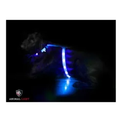 Animal Light Leucht - Hundegeschirr 