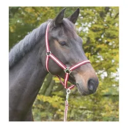 Kerbl Nylonhalfter Hippo - bordeaux/beige Grösse Zaum: Pony