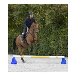 Waldhausen Cavaletti-Block - Blau -  Grösse: 30 x 30 x 35 cm, Farbe: Blau