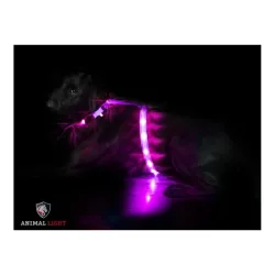 Animal Light Leucht - Hundegeschirr 