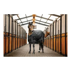 Horseware Stalldecke Easy-Layer 100g - Black/Black & Silver -  Grösse Pferdedecken: 145 cm