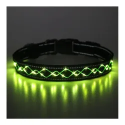 Animal Light Leucht-Hundehalsband 