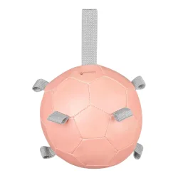 Waldhausen Karottenball - Rosa -  Grösse: One Size, Farbe: Rosa