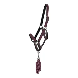 QHP Halfter-Set Turnout Collection - Weinrot -  Grösse Halfter: Pony