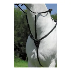 Waldhausen Vorderzeug - schwarz Grösse Pferd: Pony