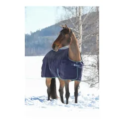 Bucas Winterdecke Smartex Extra Classic 300g - blau - Glacier-deepsea -  Farbe: Glacier-deepsea, Grösse Pferdedecken: 125 cm