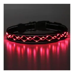 Animal Light Leucht-Hundehalsband 