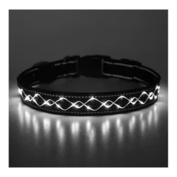 Animal Light Leucht-Hundehalsband 