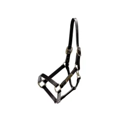 Kentucky Leder Halfter Wellington - Schwarz -  Grösse Pferd: Cob, Farbe: Schwarz