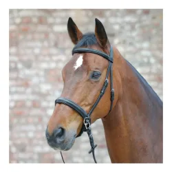 Star Zaum Gebisslos - Schwarz -  Grösse Pferd: Pony