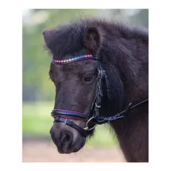 Star Ponyzaum Pinky - Schwarz -  Grösse Zaum: Pony