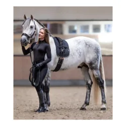 Waldhausen Longiergurt Rosé - Schwarz/Roségold -  Grösse Pferd: Pony
