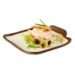 APS Teller CROCKER, Melamin; 14x13x2.5 cm (LxBxH); beige/braun; rechteckig