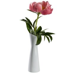 PULSIVA Vase Floare; 6x20.6 cm (ØxH); weiss; 4 Stück / Pack