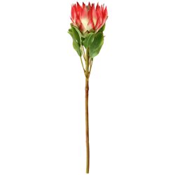 VEGA Protea Maaret; 70x11 cm (LxB); weiss/rosa/grün