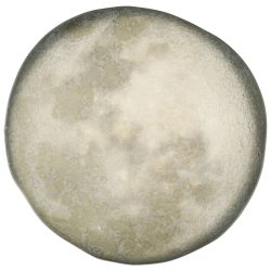 Porland Teller flach Selene; 22.5x2.75 cm (ØxH); grau/weiss; rund; 6 Stück / Pack