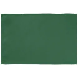 ERWIN M. Tischset Vivienne; 30x45 cm (BxL); grün; 4 Stück / Pack