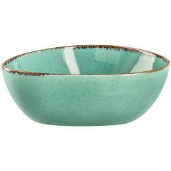 VEGA Schale Sidina organisch; 1200 ml, 21.2x19.2x7.5 cm (LxBxH); türkis; organisch; 2 Stück / Pack