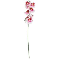 VEGA Orchideenzweig Maarja; 61 cm (L); weiss/rosa/grün