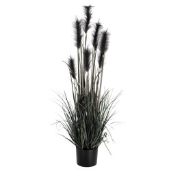 Grasbusch Sanjah; 126 cm (H); schwarz