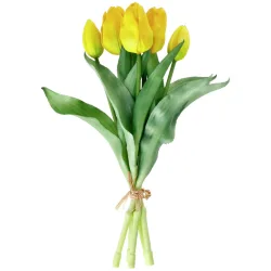 Tulpenbund Tialda; 28 cm (L); gelb
