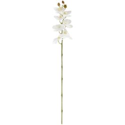 VEGA Orchideenzweig Mabou; 95 cm (L); weiss/grün
