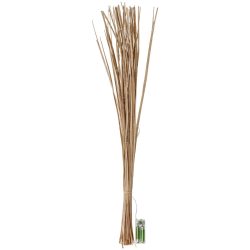 Palmblätterzweige Abeba mit LEDs; 80 cm (L); gold