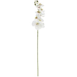 VEGA Orchideenzweig Macey; 83 cm (L); weiss/grün