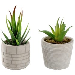 Kunstpflanzen-Set Afia; 6.5x14 cm (ØxH); grau/grün