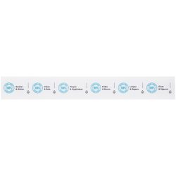PULSIVA Toilettensitzstreifen 100% Clean & Safe; 60x8 cm (LxB); weiss/blau; 250 Stück / Pack