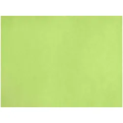 GARCIA DE POU Tischset Spuno; 30x40 cm (BxL); kiwi; 200 Stück / Pack