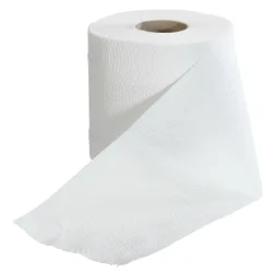 Katrin Toilettenpapier Basic 2-lagig; 9.8x10.5 cm (BxØ); weiss; 64 Stück / Pack