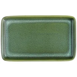 VEGA Platte Nano; 21x13x2.1 cm (LxBxH); grün; rechteckig; 6 Stück / Pack