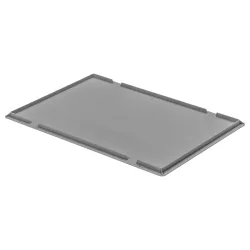 Ringoplast Auflagedeckel; 60x40x2.6 cm (LxBxH); grau