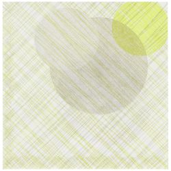 Ro.ial Serviette Eclissi; 40x40 cm (BxL); grün; 50 Stück / Pack