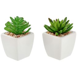 Kunstpflanzen-Set Afra; 5.5x11.5 cm (ØxH); weiss/grün