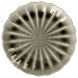VEGA Teller flach Flora; 15.2x2.3 cm (ØxH); grau; rund; 6 Stück / Pack