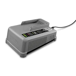Kärcher Professional - Schnellladegerät Battery Power+ 36/60, Multicolor, One Size