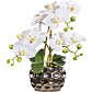 Kunstpflanze Orchidee