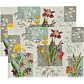 Sander Gobelin Tischset Flowery Patch im 2er-Pack