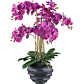 Kunstpflanze Phalaenopsis