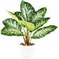 Kunstpflanze Dieffenbachia