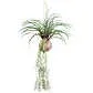 Kunstpflanze Tillandsia Stricta