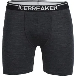 Icebreaker Herren Anatomica Long Boxer